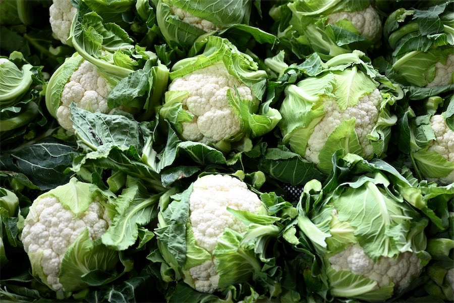 Food supply at risk as growers look to greener pastures