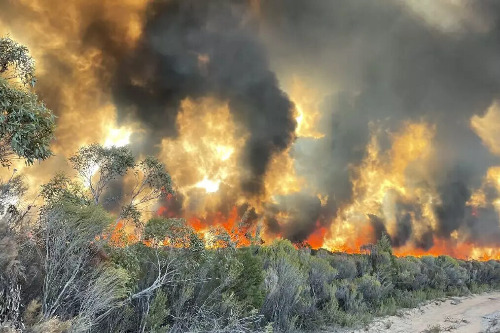 Two homes, shed and fire vehicle lost in fire hit state