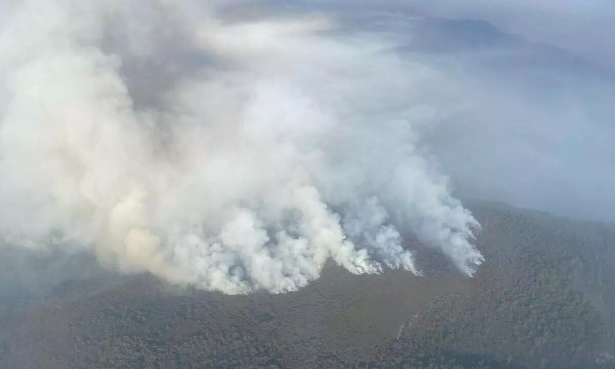 Hot winds heighten risk as bushfires rage, bans issued