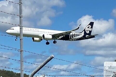 Kiwi’s wave flag for Canberra, but no direct flights