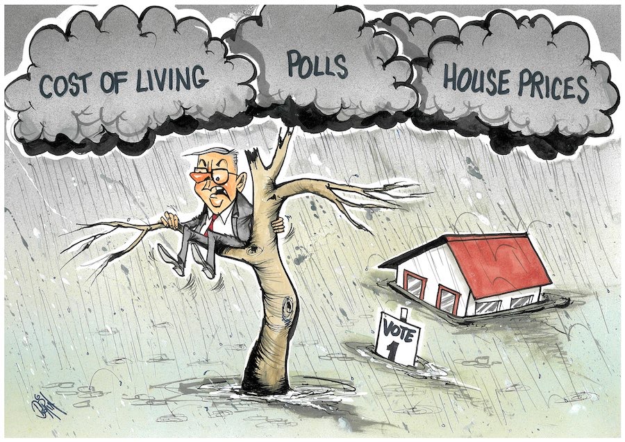 Cartoon / Dose of Dorin