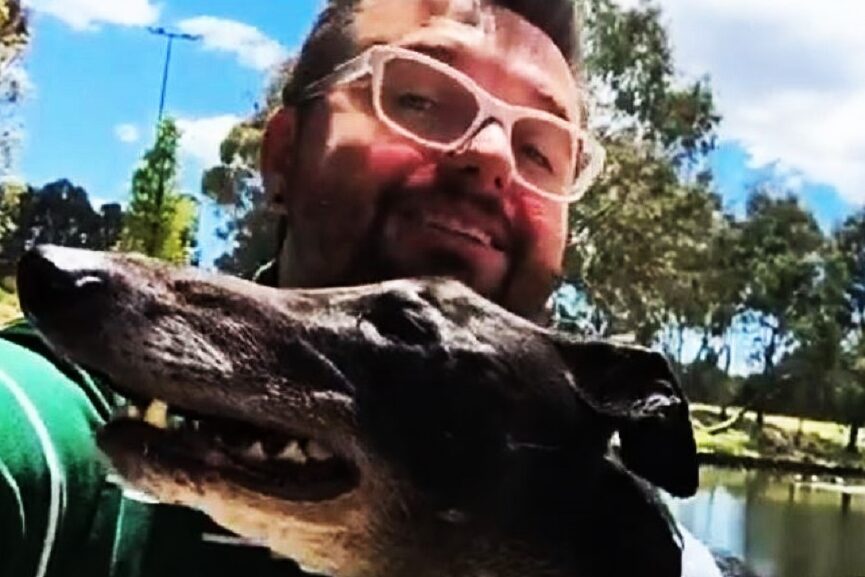 Artist has something to say about greyhounds