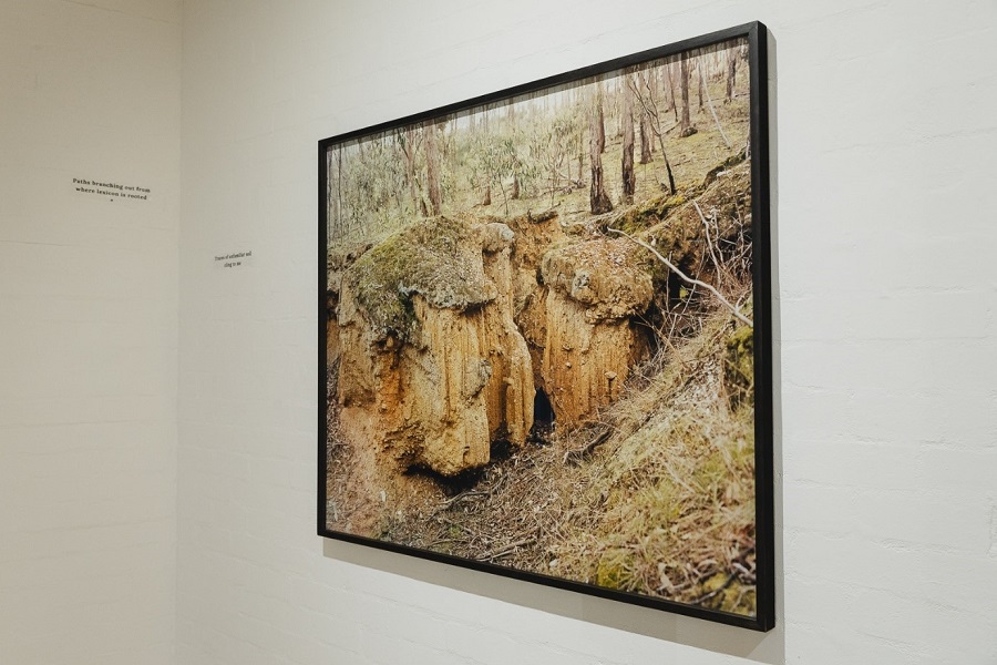 Photographs seek to trigger conversation