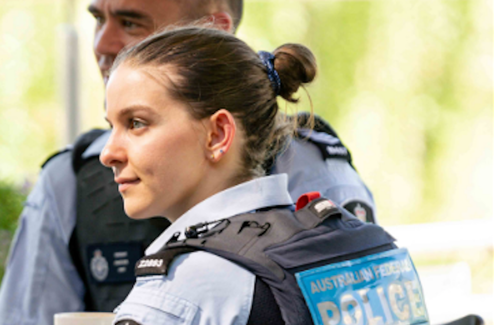 Man with five knives arrested in Dickson