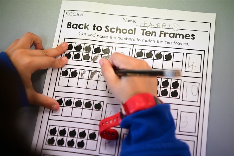 Leave it to us: teachers dismiss maths crisis claims
