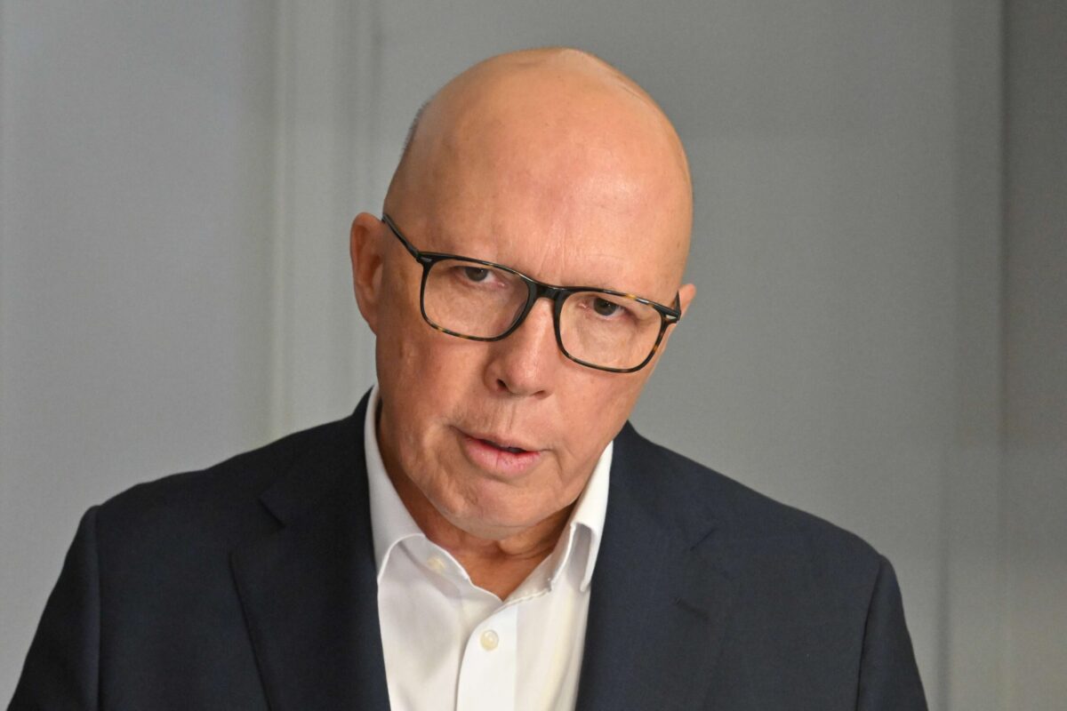‘Chainsaw massacre’ to cull public service under Dutton