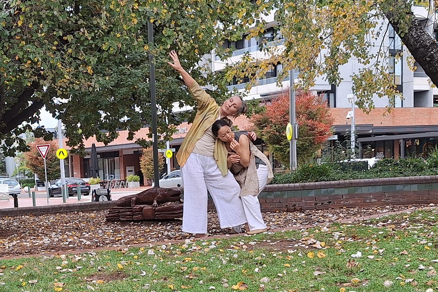 Dalman’s book looks at the creation of dance in nature