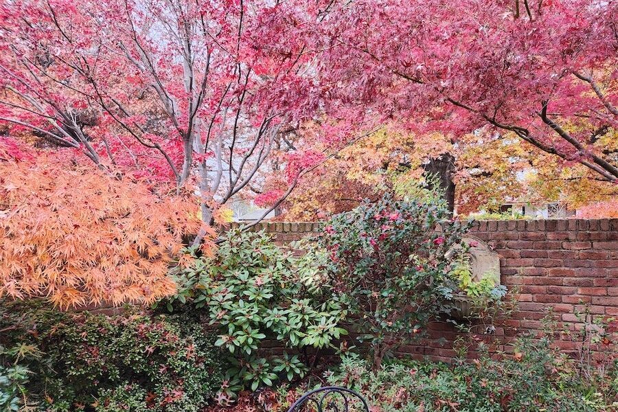 Autumn colour leads to lots of lovely compost