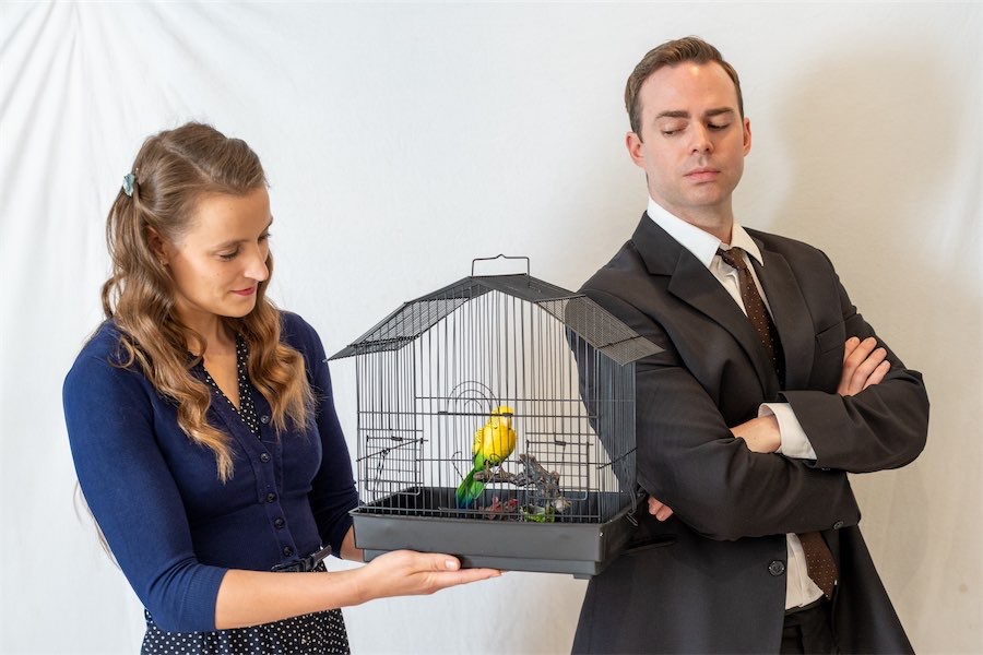 Lovebirds haunted by a possessed budgie with a past