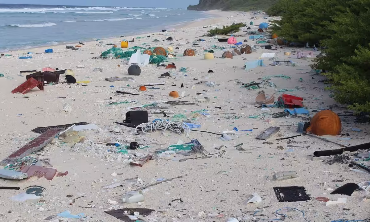 Garbage bag giant fined over recycled sea plastic claim