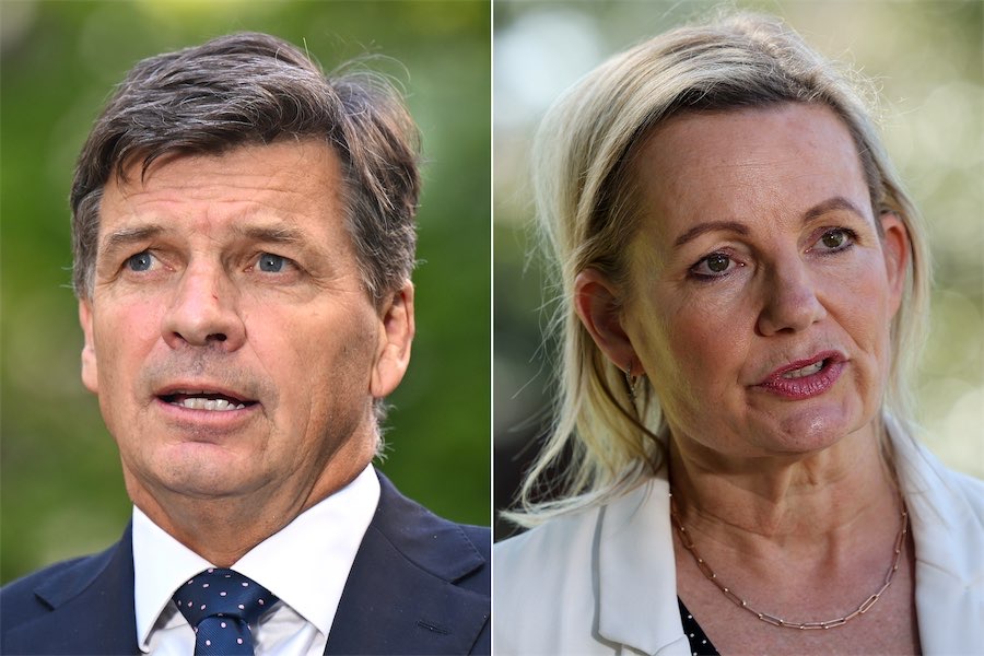 Liberals warned to ditch culture wars ahead of vote