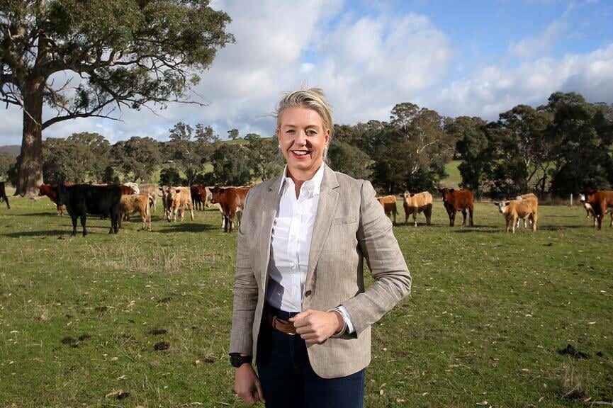 Coalition split puts Nats’ Senate seats at risk