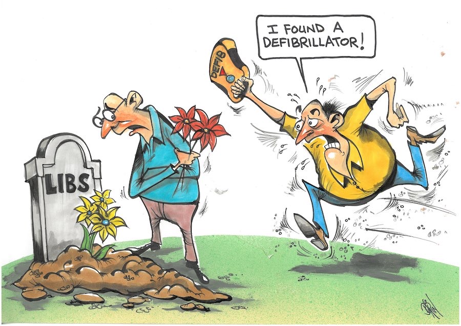 Cartoon / Dose of Dorin