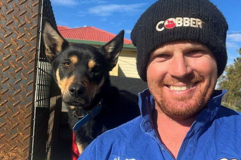 A ripper race to find Australia’s hardest-working dog
