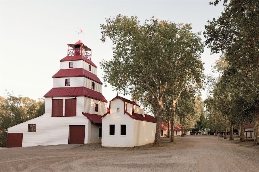 Centennial wines top the taste test