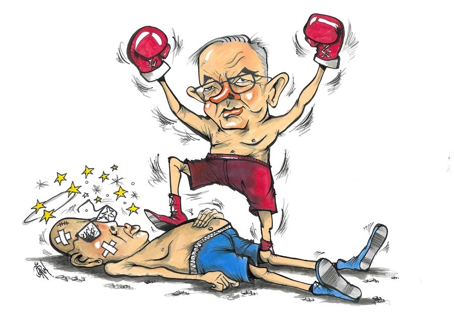 Cartoon / An election Dose of Dorin