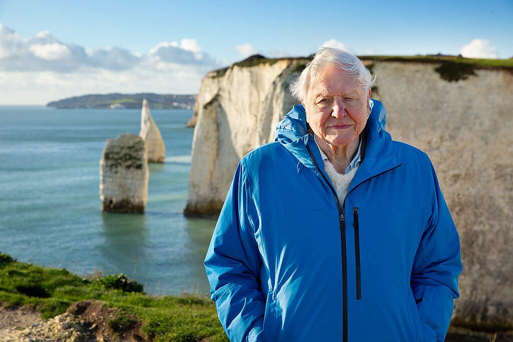 If we save the sea, we save our world: Attenborough