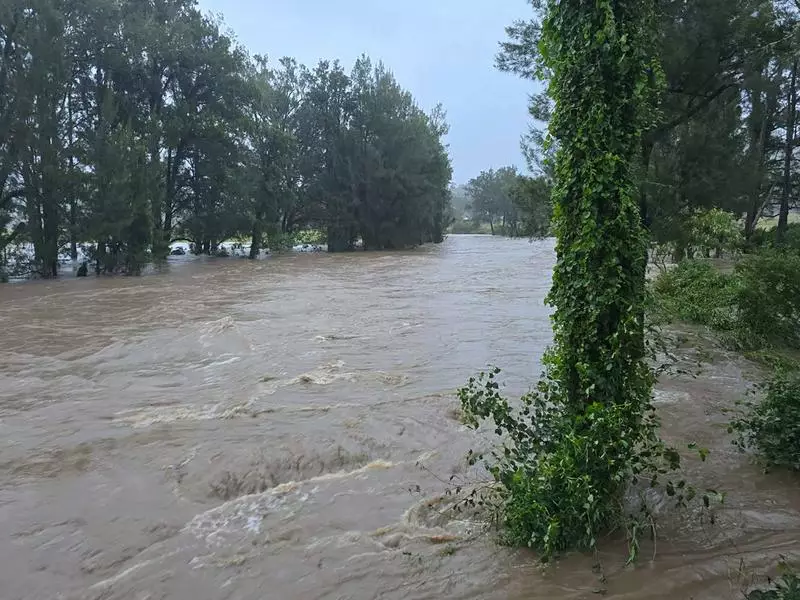 Residents winched to safety as downpour swells flooding