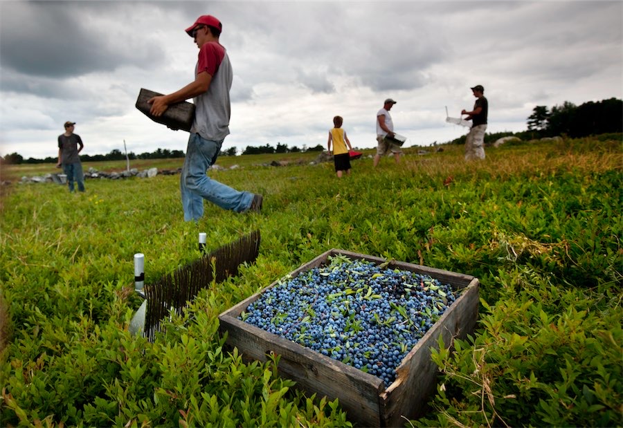 Thousands trapped in Australian farm slavery