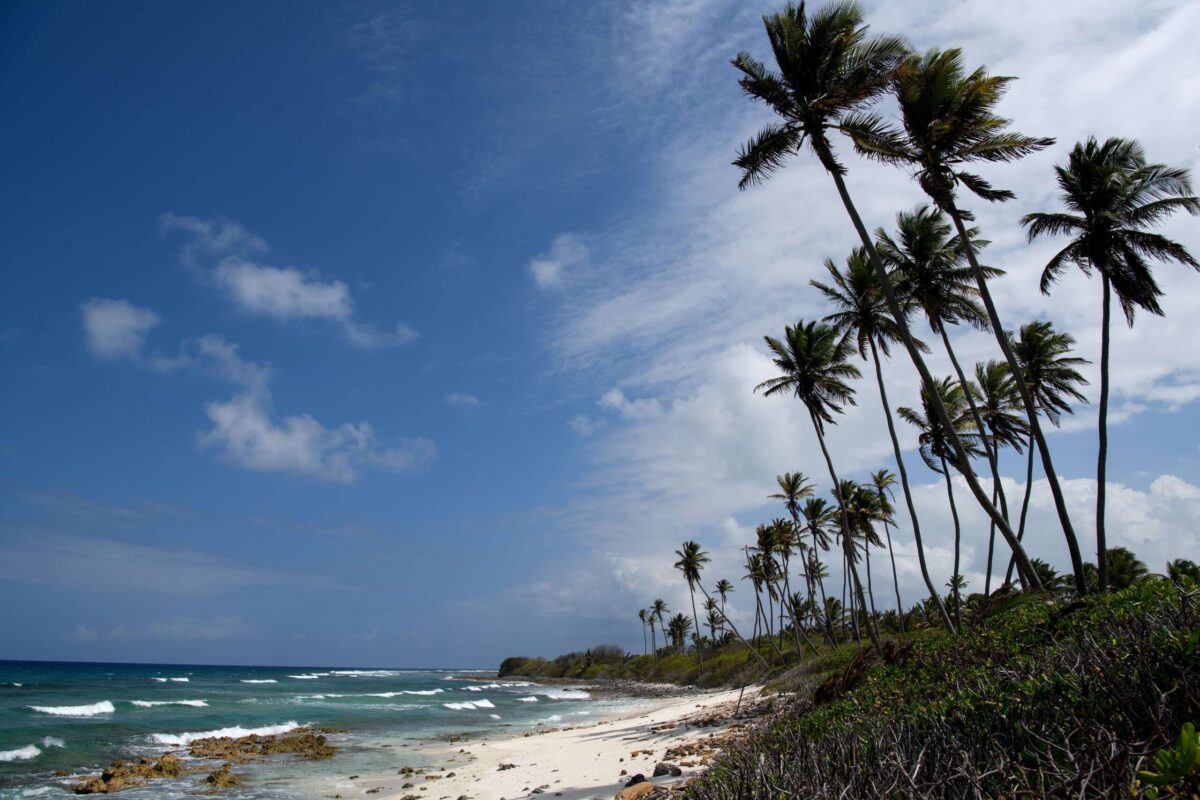 Australia, Pacific rocked by ocean heatwaves last year