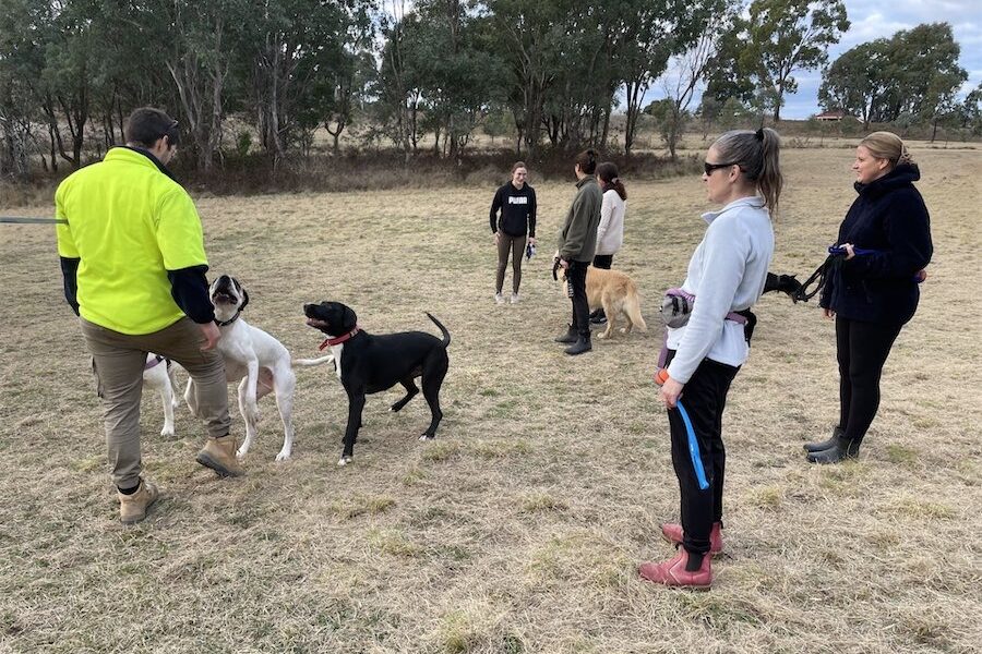 Government flips on Point Hut off-leash dog area