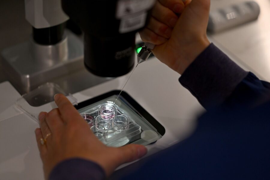 AI gives birth to fresh hope against male infertility