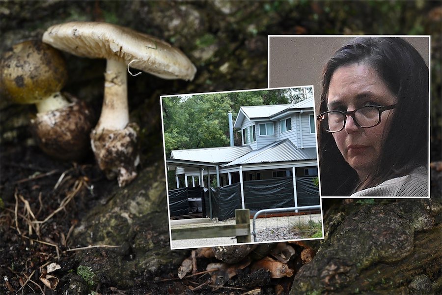 ‘Guilty’: mushroom cook convicted of triple murder