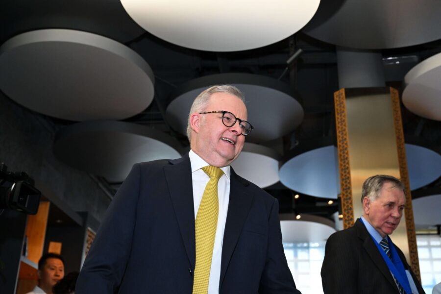Buoyant Albanese plots next phase of Labor dynasty