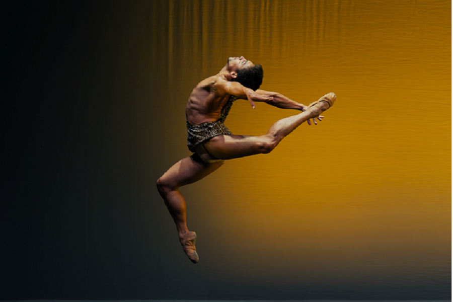 Annual ballet gala with an international touch