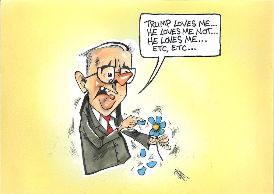 Cartoon / Dose of Dorin