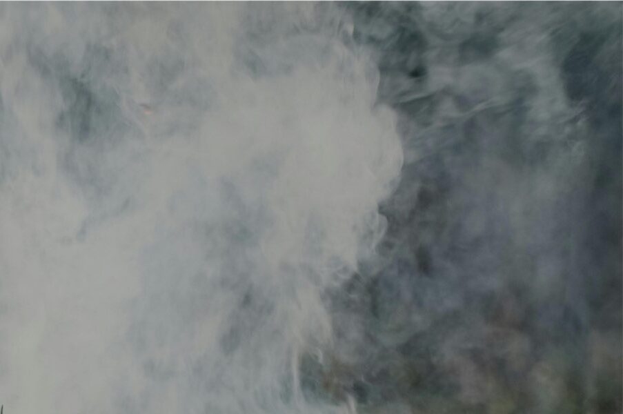 Civic celebration serves up the wood smoke