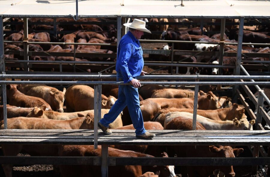 Aussie beef a hot commodity as US imports hit a high