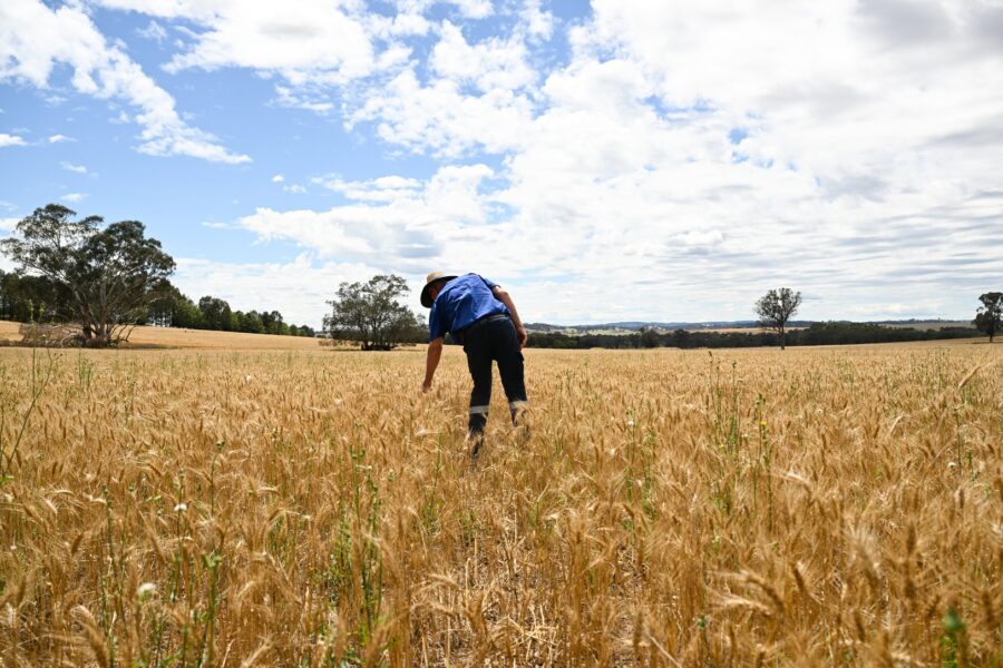 Farmers get on front foot in evolving war against weeds