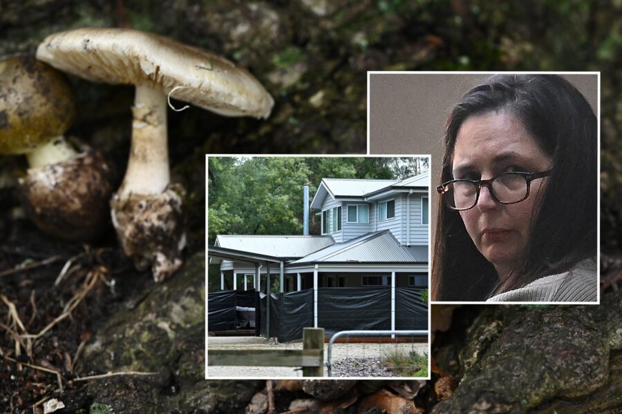 Killer mushroom cook Patterson fails with secrecy bid