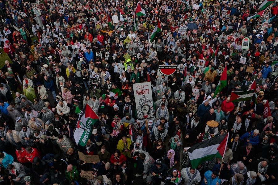 Albanese needs to be seen doing something about Palestine