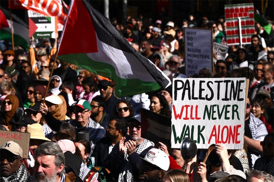 Rallies under way as Palestine support swells