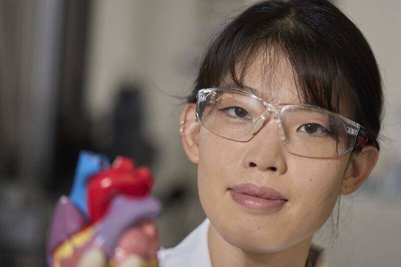 Mini hearts to save cancer survivors from heart disease