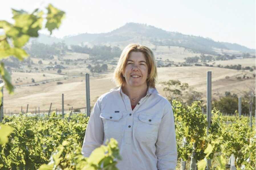 Bright Tasmanian wine tops the tasting