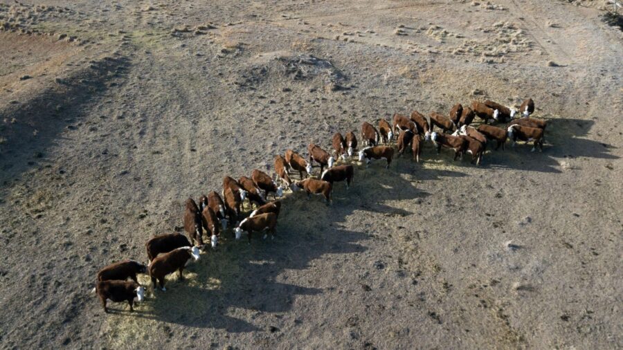 ‘Confronting’ climate impacts in Australia’s future