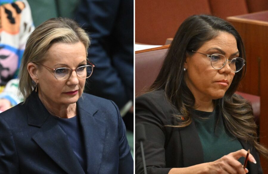 Senior Liberals back Ley after ‘cauterising the wound’