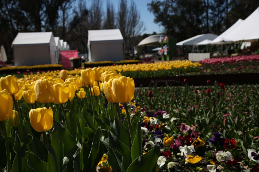 Science and nature looms large at Floriade