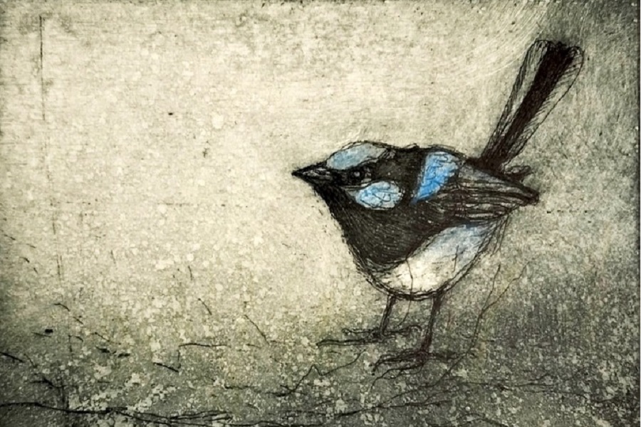 Exhibition invites us to join Jo in her creek walks