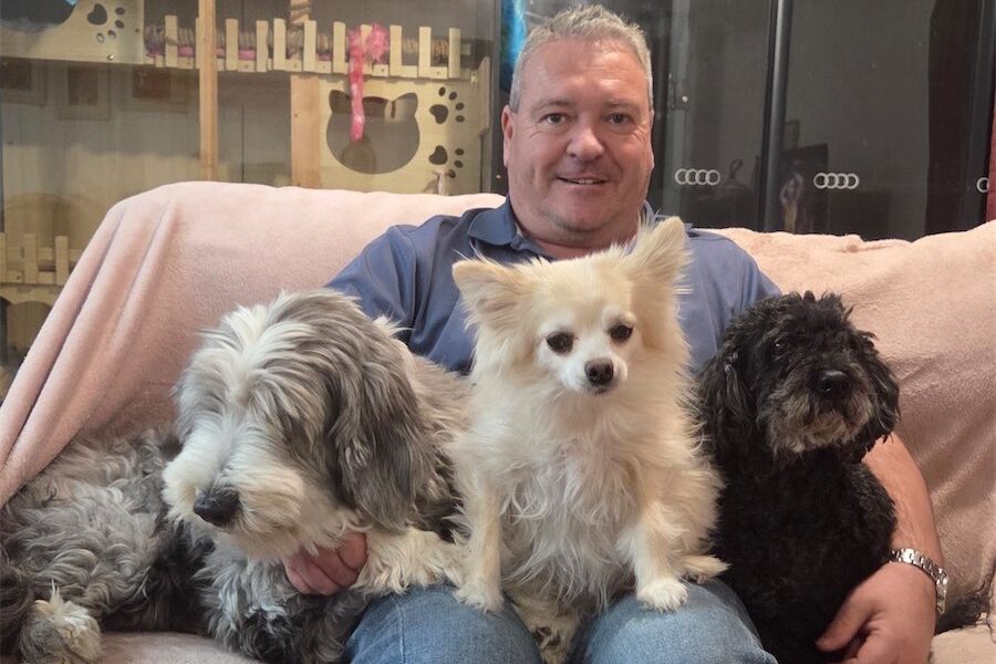 Kennel owner claims welfare laws are not enforced