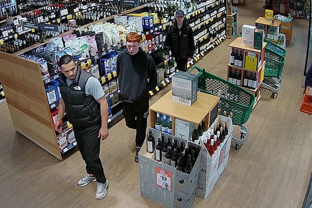 Shoplifting suspects: who are they?