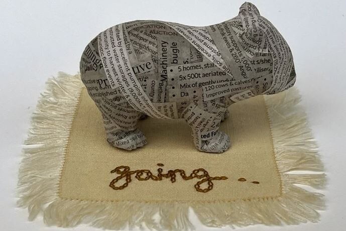 Artistic worries about the welfare of the wombat