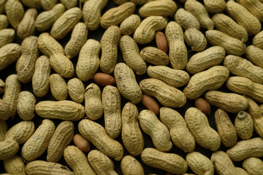 Peanut butter loving babies are licking allergies