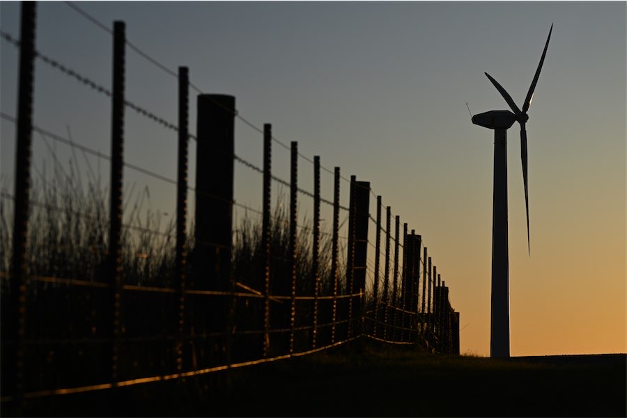 Nature’s recovery, not decline, promise of major reform