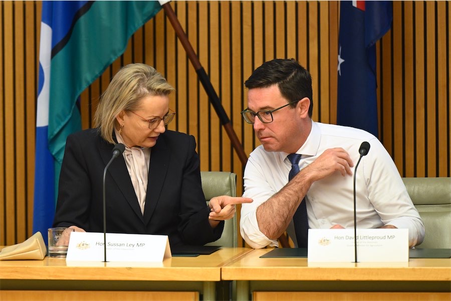 ‘Sort it out’, junior coalition partner tells Liberals