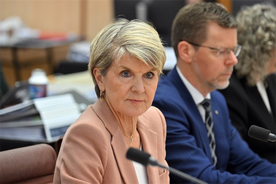 ‘Absolute shemozzle’: embattled ANU head faces probe