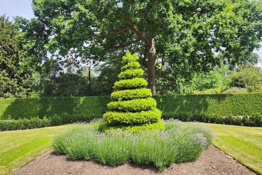 When topiaries start looking terrific